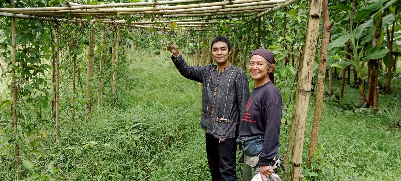 พช ป่าพะยอม ลงพื้นที่ติดตามการปลูกผักสวนครัว ครัวเรือนต้นแบบ 