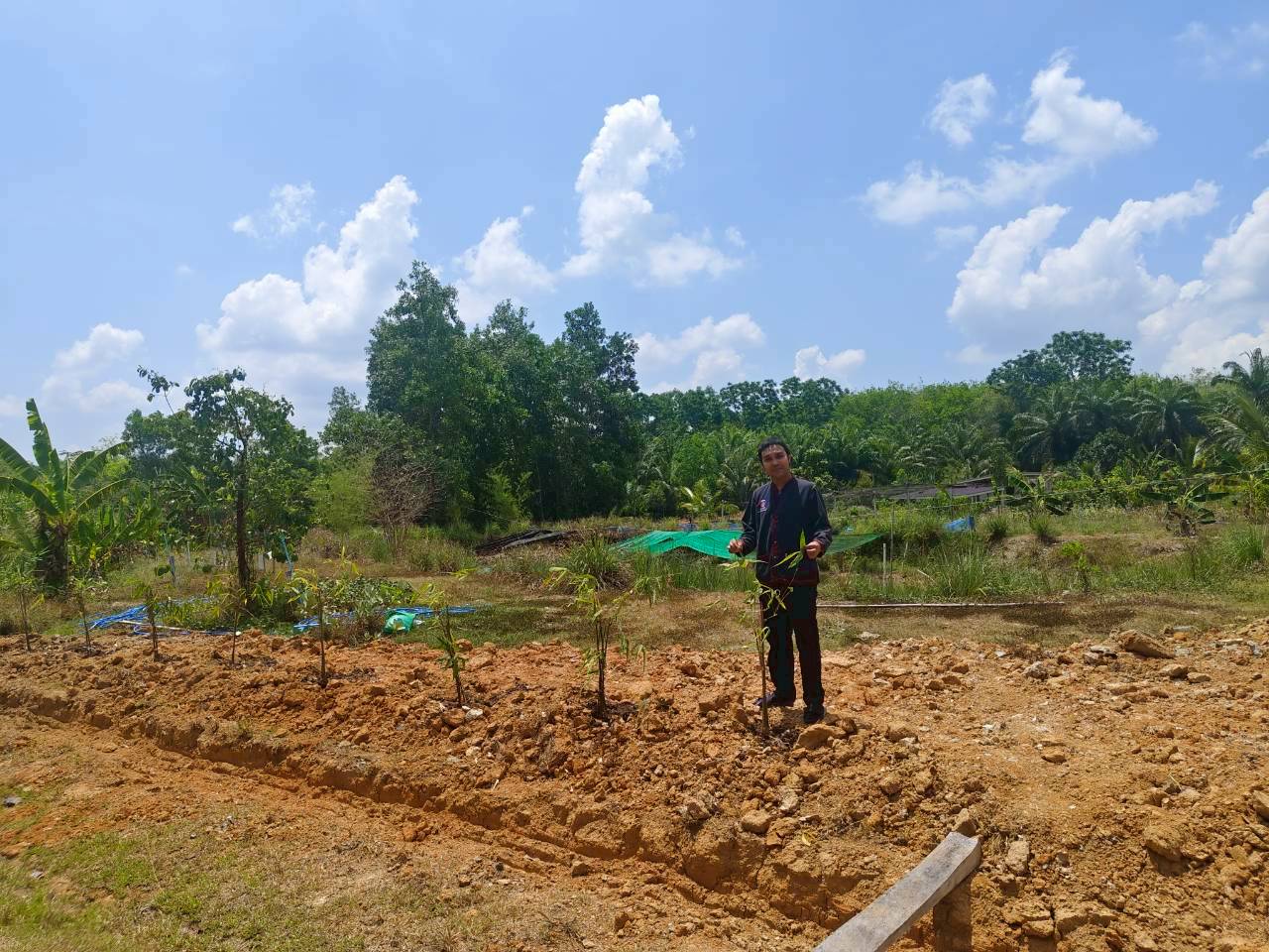 พช. ป่าพะยอม ศูนย์เรียนรู้พัฒนาคุณภาพชีวิตตามหลักทฤษฎีใหม่ประยุกต์สู่ “โคก หนอง นา” ของนายจำเป็น ผอมภักดี  หมู่ที่ 4 ตำบลเกาะเต่า อำเภอป่าพะยอม จังหวัดพัทลุง