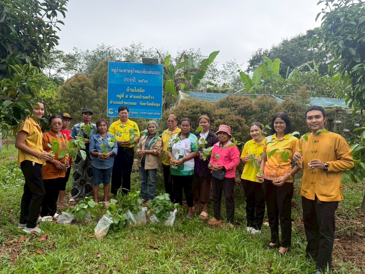 พช.ป่าพะยอม กิจกรรมเอามื้อสามัคคี ณ ศูนย์เรียนรู้การพัฒนาชีวิตตามหลักทฤษฎีใหม่ ประยุกต์สู่ “โคก หนอง นา” นางจรูญลักษณ์ รุ่งทวีชัย” 1 อำเภอ 1 กิจกรรมบูรณาการทางนี้มีผล ผู้คนรักกัน และ ศูนย์แบ่งปันเมล็ดพันธุ์และต้นกล้า ปันสุขสู่ครัวเรือนเปราะบาง